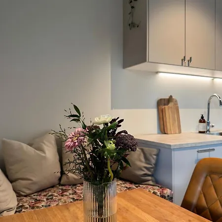 New Close To Torp Airport Leilighet